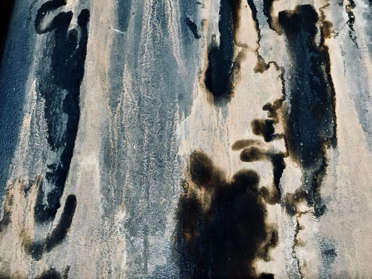 Black mildew stains spreading across a wall